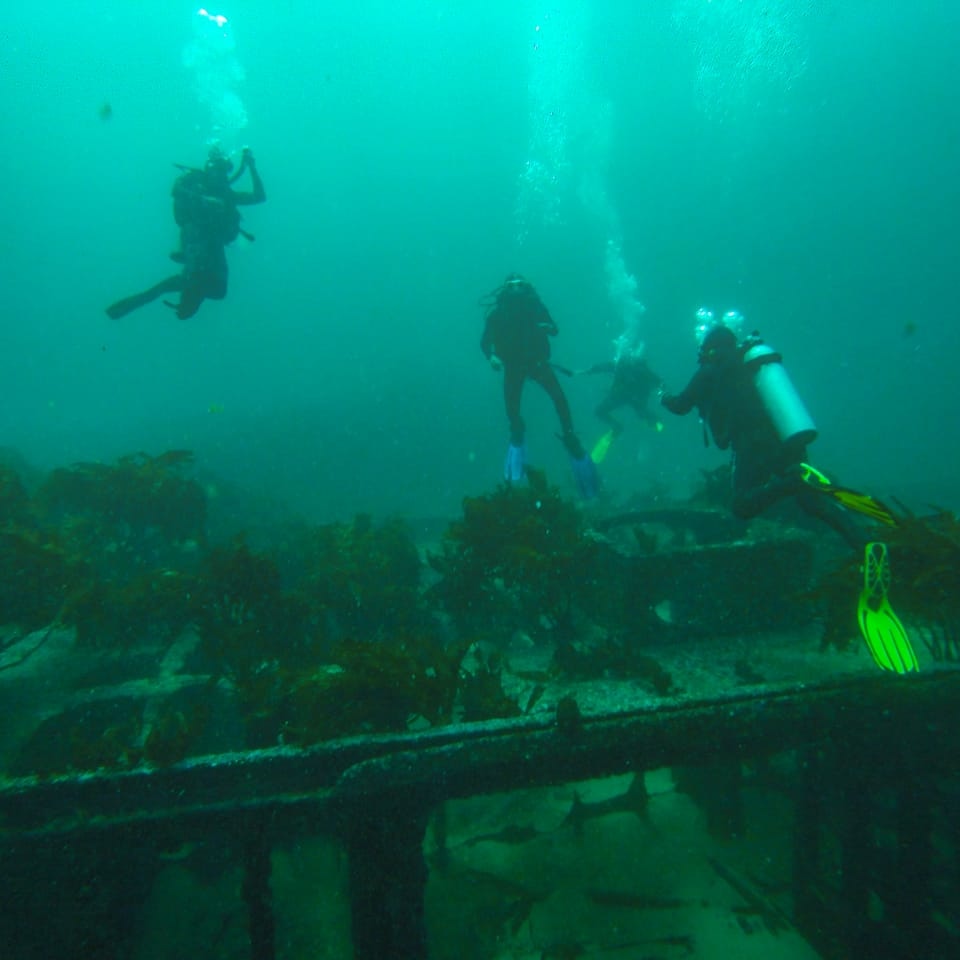 CURSO INICIAL OPEN WATER DIVER